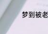 龙珠里的Z战士是什么意思