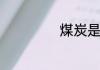 煤炭是怎么形成的