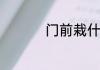 门前栽什么树吉祥旺财