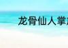 龙骨仙人掌放在家中什么方位