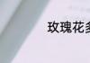 玫瑰花多少朵的寓意