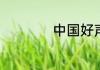 中国好声音十位冠军