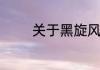 关于黑旋风斗浪里白条概括