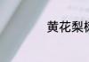 黄花梨树苗怎么种植