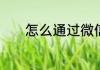 怎么通过微信查询腾讯信用分