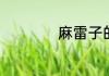 麻雷子的注音是什么