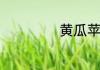 黄瓜苹果汁的做法