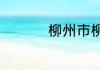 柳州市柳南区属于哪里