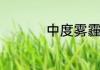 中度雾霾飞机能起飞吗
