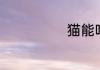 猫能吃巧克力吗