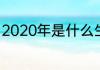 2020年是什么生肖年十二生肖的简介