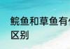 鲩鱼和草鱼有什么区别鲩鱼和草鱼的区别