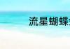 流星蝴蝶剑大锤连招教学
