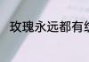 玫瑰永远都有绽放的权利什么意思