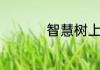 智慧树上智慧果下一句