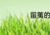 留荑的意思是什么