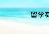 留学荷兰的优缺点