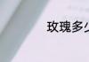 玫瑰多少支代表什么