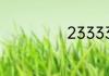 233333是什么梗