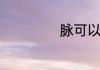 脉可以组什么词语