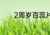 2周岁百蕊片儿童用量是什么