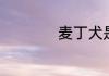 麦丁犬是哪个国家的