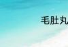 毛肚丸子制作教程