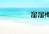 溜溜梅有哪些口味