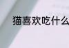 猫喜欢吃什么猫喜欢吃什么食物