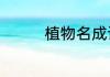 植物名成语什么代什么僵