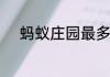 蚂蚁庄园最多可以储存多少饲料