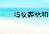 蚂蚁森林和蚂蚁庄园有什么用
