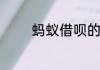 蚂蚁借呗的初始额度是多少
