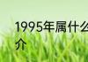 1995年属什么生肖1995年生肖的简介