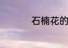 石楠花的味道的梗简述