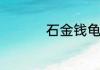 石金钱龟养殖方法分享