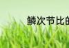 鳞次节比的比是什么意思