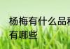 杨梅有什么品种 常见的杨梅主要品种有哪些