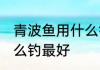 青波鱼用什么钓最好 冬季清波鱼用什么钓最好