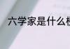 六学家是什么梗六学家是什么意思
