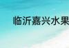 临沂嘉兴水果批发市场怎么拿货