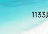 1133是什么意思