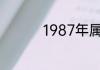 1987年属兔的是什么命
