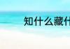 知什么藏什么的词语有哪些