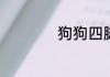 狗狗四脚毛衣怎么织