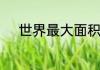 世界最大面积的国家是哪个国家