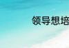 领导想培养新人的表现