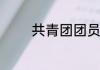 共青团团员个人的总结范文