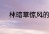 林暗草惊风的草惊风是什么意思