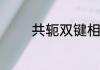 共轭双键相关的词语是什么